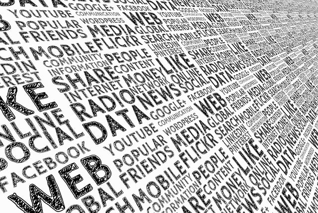 texty na web
